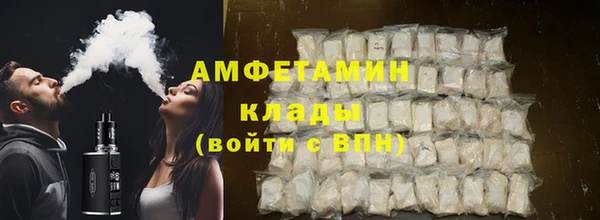твердый Пересвет