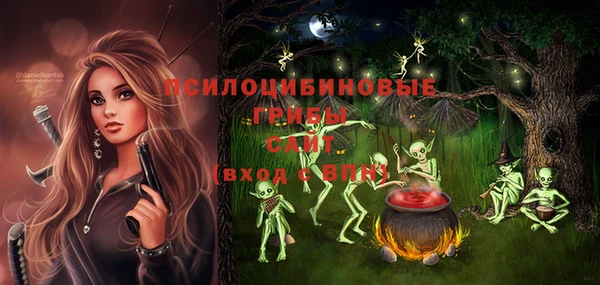 соль ск Аркадак